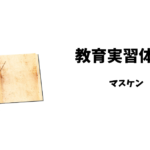 【辛さを学ぶ】大学生が教育実習に行ったときの体験談